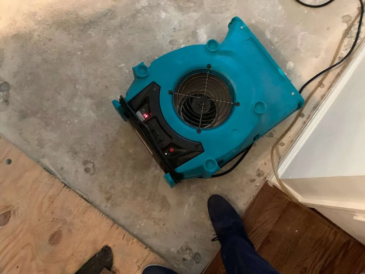 Air mover drying subfloor during Leak Detection & Repair in Alondra Park